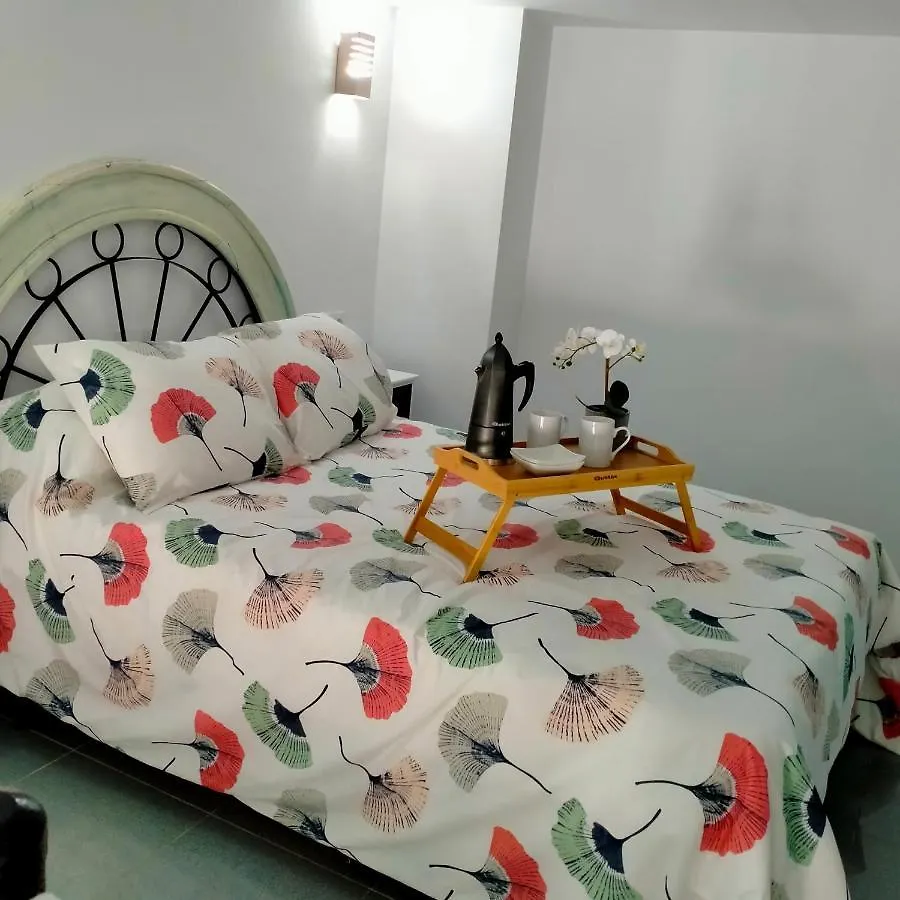 Precioso Loft En Conil De La Frontera Appartement Spanje