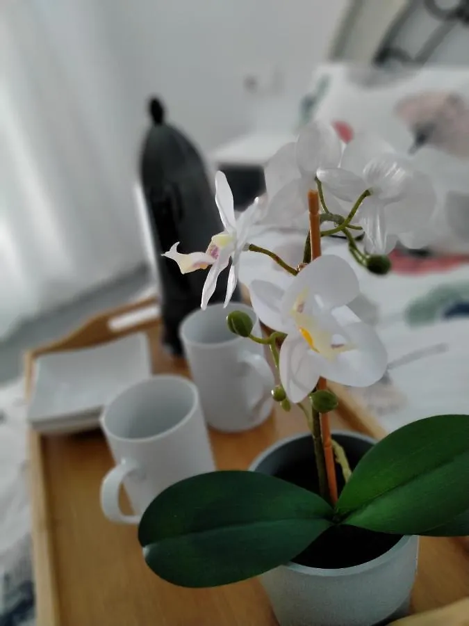 Precioso Loft En Conil De La Frontera Appartement